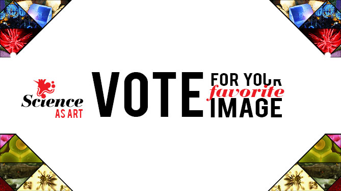 Cast Your Science as Art Vote Today!